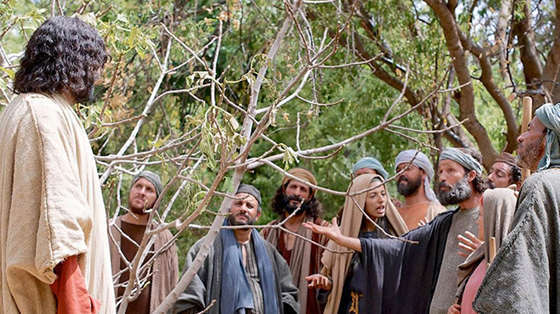 Lời Thầy nói sẽ chẳng qua đâu