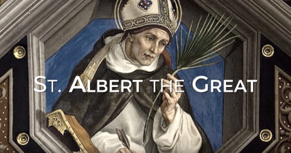 Ngày 15/11 – Thánh Albert Cả: bổn mạng của các nhà khoa học, triết gia và giáo viên