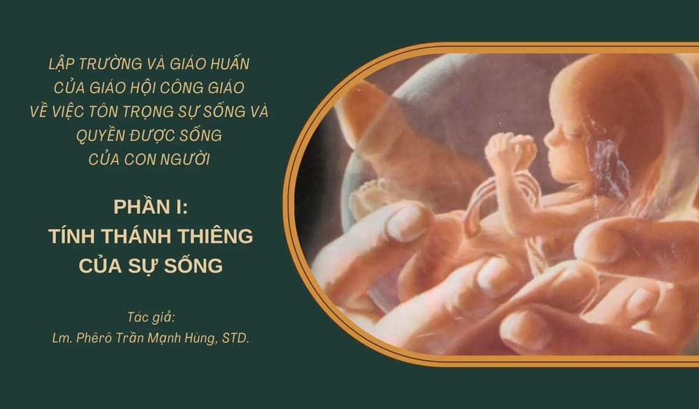 Lập trường và giáo huấn của Giáo hội Công giáo về việc tôn trọng sự sống (Phần 1 – Tính thánh thiêng của sự sống)