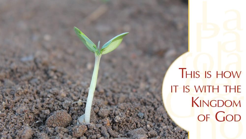 Nước Trời: Từ những khởi đầu khiêm hạ