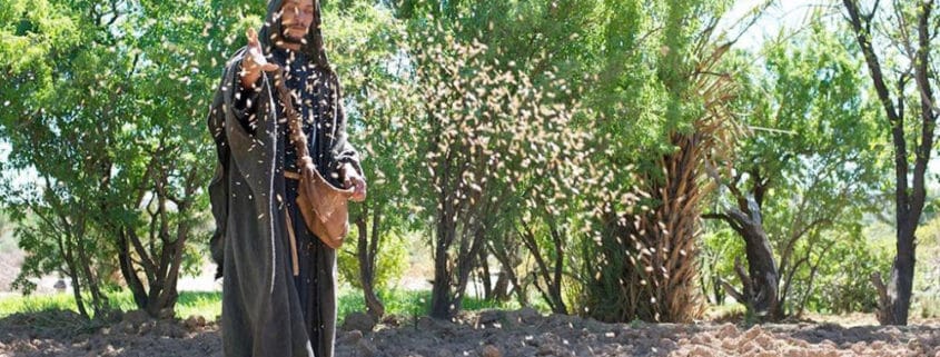 Để có mảnh đất tốt