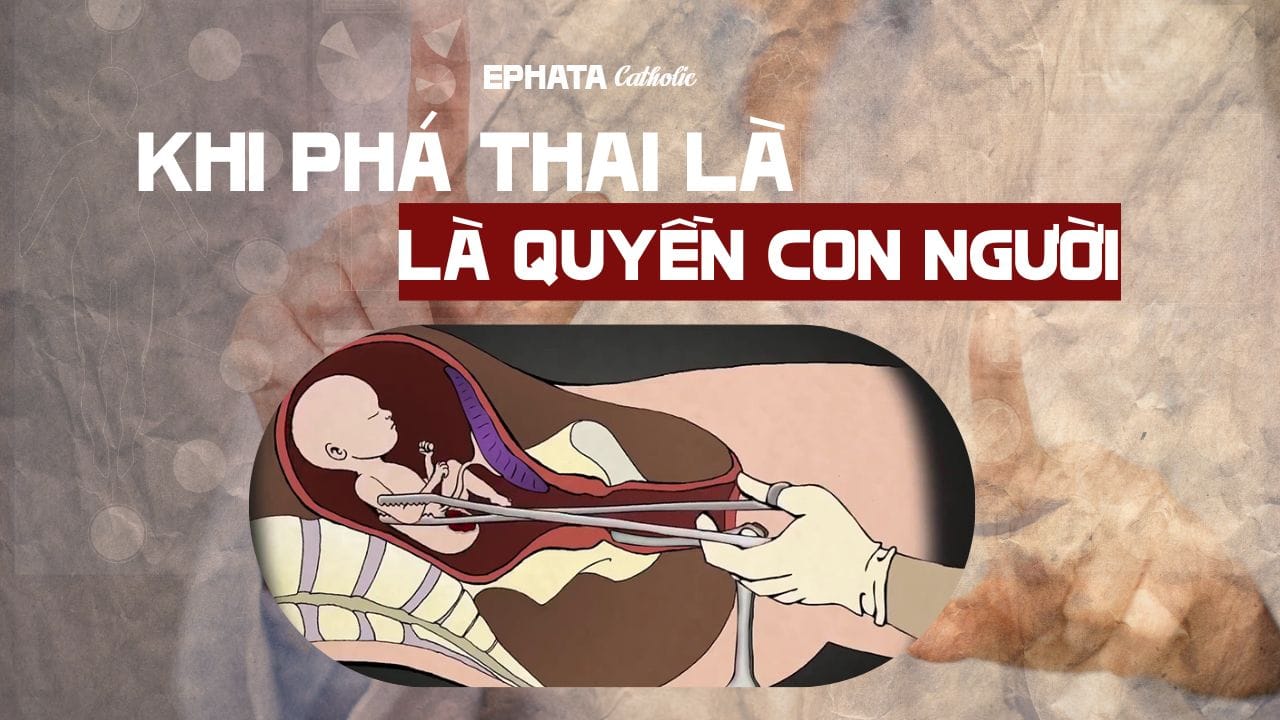 Hà Lan: Nếu phá thai là quyền con người – một bước hụt nguy hiểm