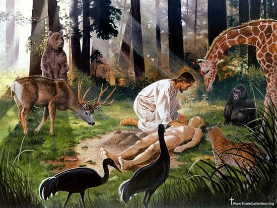 DOCAT #5: Tại Sao Thiên Chúa Đã Dựng Nên Con Người và Thế Giới?