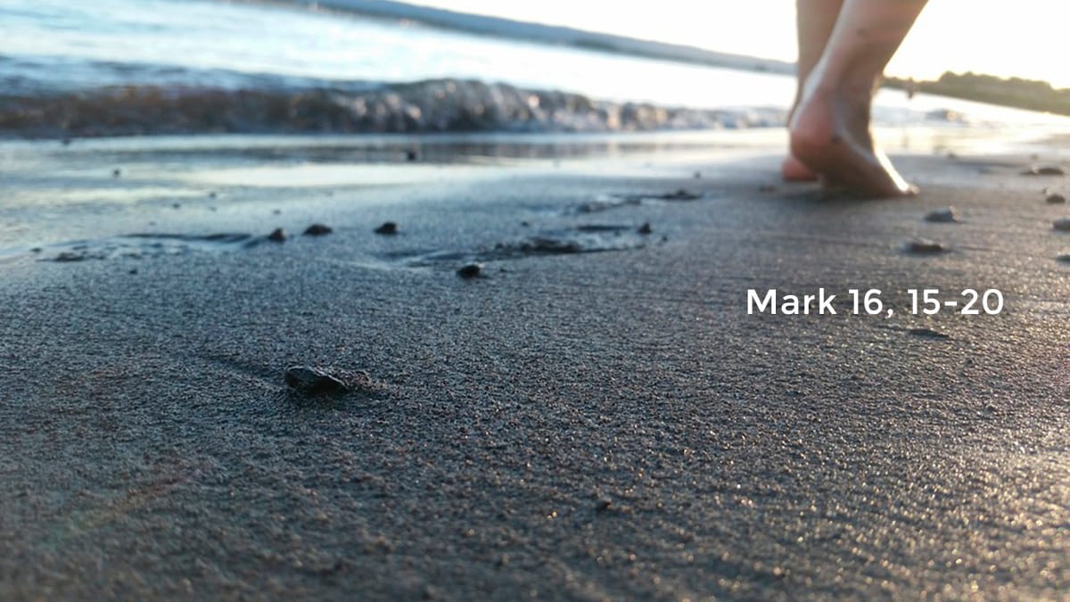 Đi tứ phương thiên hạ