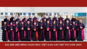 E-Magazine: Ban Thường Vụ HĐGMVN Nhiệm Kỳ 2025 - 2028