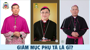 Giám mục Phụ tá là gì?