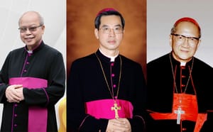 Phẩm trật trong bậc Giám mục Công giáo: Từ giám mục giáo phận đến Hồng y và Đức Giáo hoàng