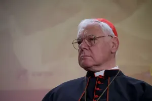 Đức Hồng y Müller cảnh báo Huynh đoàn Piô về hậu quả nghiêm trọng