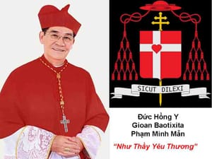 Hồng y đầu tiên từ miền Nam: Câu chuyện thăng hồng y năm 2003