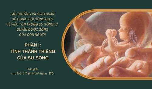 Lập trường và giáo huấn của Giáo hội Công giáo về việc tôn trọng sự sống (Phần 1 – Tính thánh thiêng của sự sống)