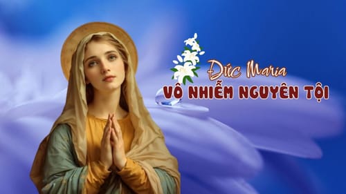 Lịch sử và Ý nghĩa Tín điều Đức Mẹ Vô Nhiễm Nguyên Tội: Đặc ân tuyệt diệu của Thiên Chúa