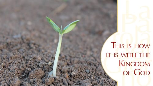 Nước Trời: Từ những khởi đầu khiêm hạ