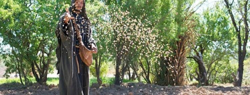 Để có mảnh đất tốt