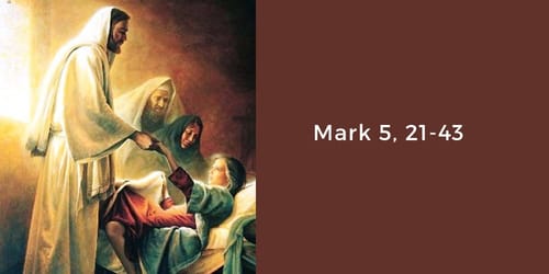 Phép Lạ Kép: Đức Tin Được Nuôi Dưỡng