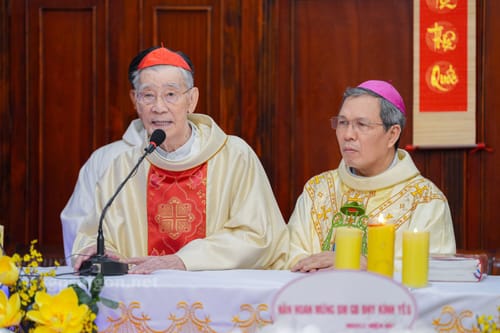 Tiểu Sử Đức Hồng Y Gioan Baotixita Phạm Minh Mẫn