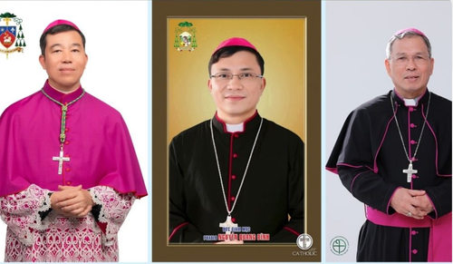 Giám mục Phụ tá có thể trở thành Giám mục chính tòa không?