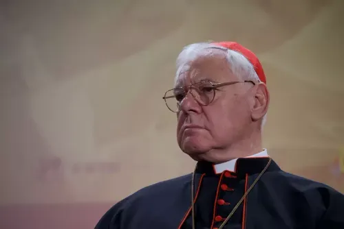 Đức Hồng y Müller cảnh báo Huynh đoàn Piô về hậu quả nghiêm trọng
