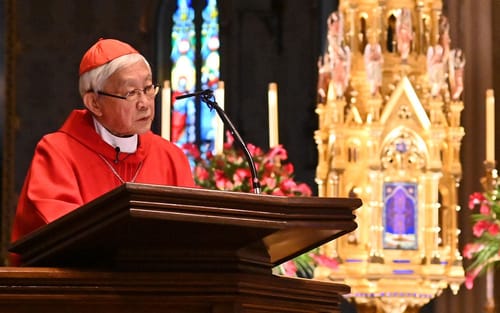 Đức Hồng Y Zen kêu gọi Hiệp hội Thánh Piô X (SSPX) hãy tin tưởng Đức Giáo Hoàng Lêô XIV để tránh ly giáo